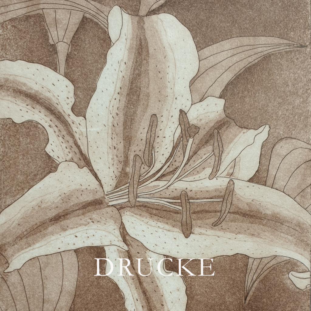 Tiefdruck in Aquatinta in Farbe Bistre Motiv Lilie von SilkeFaberArt.