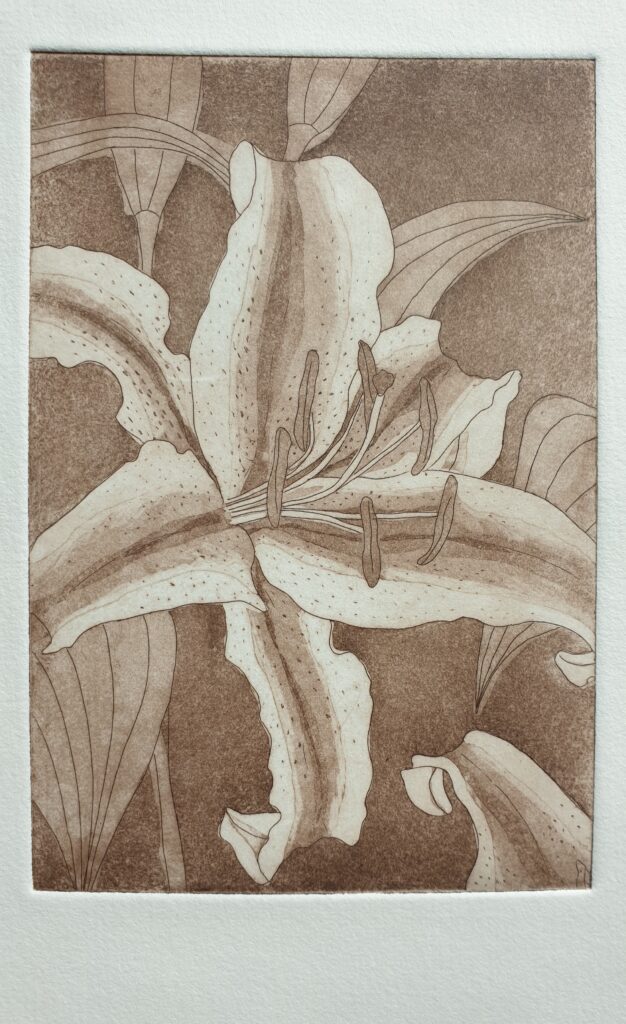 Tiefdruck, Kupfer, bistre, Lilie von SilkeFaberArt.