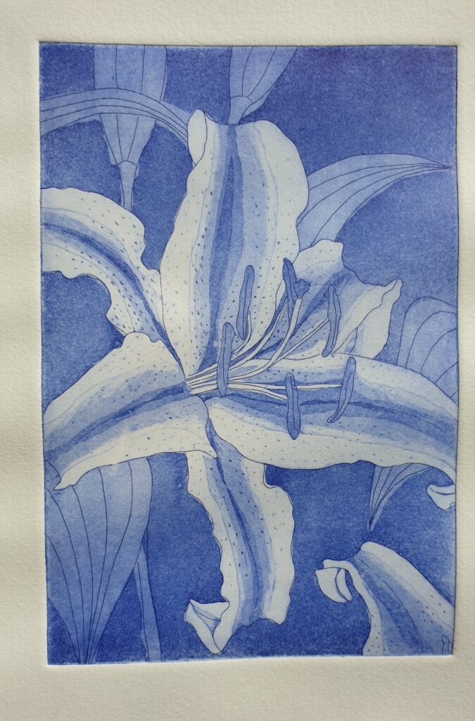 Tiefdruck, Kupfer, oriental blue, Lilie von SilkeFaberArt.